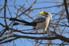 samburu0796